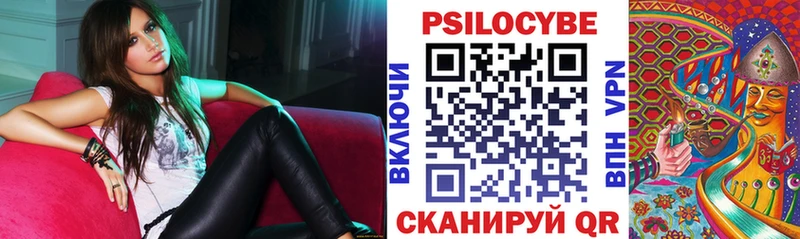Галлюциногенные грибы Psilocybe  Ветлуга 
