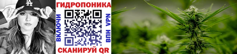 Бошки Шишки марихуана Ветлуга